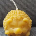 Igel
