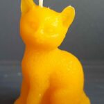 Katze