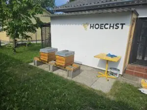Vorbereitung....