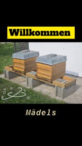 Willkommen!